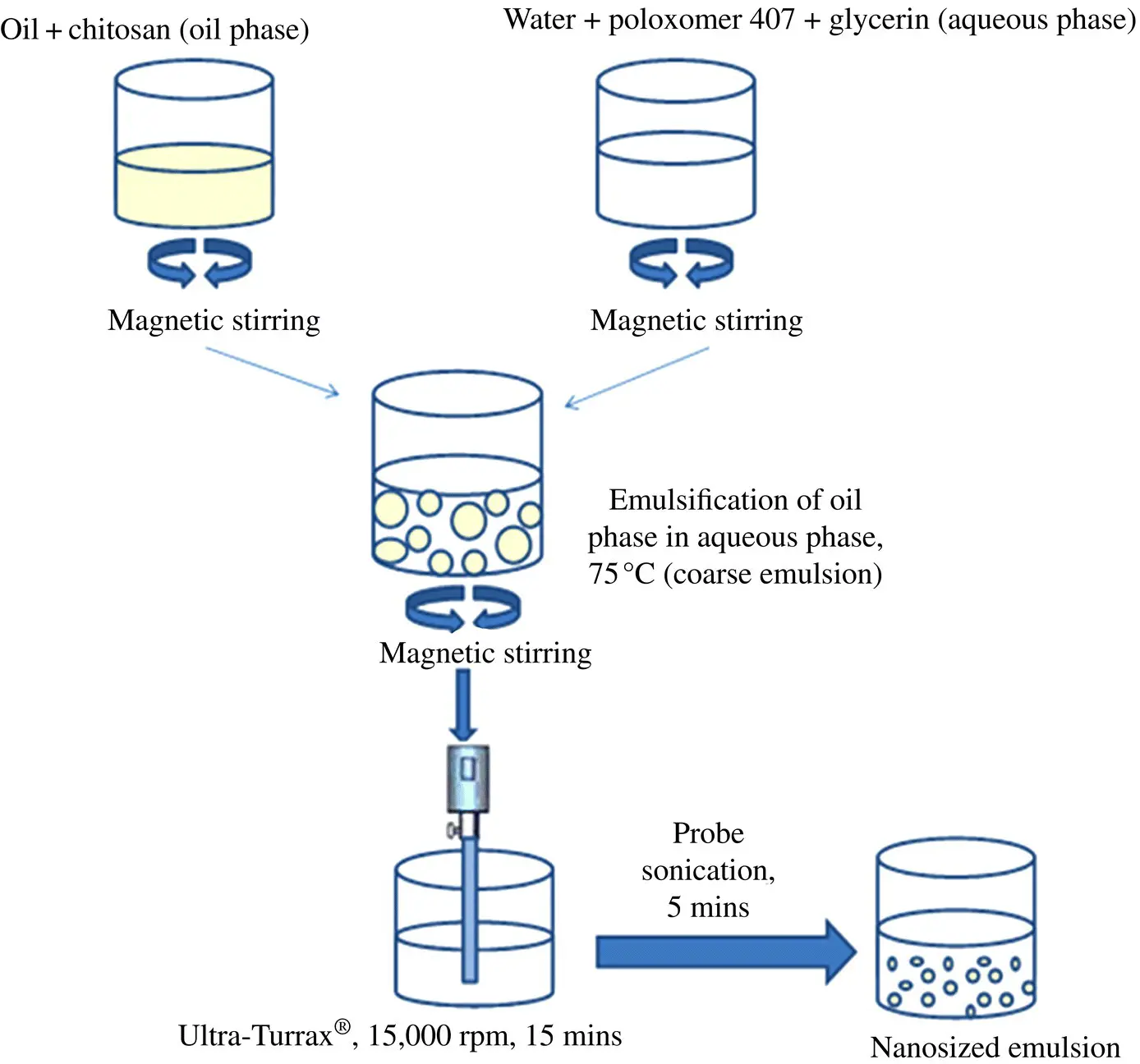 Figure 23 Schematic diagram for preparation of nanosized emulsion 244 - фото 14
