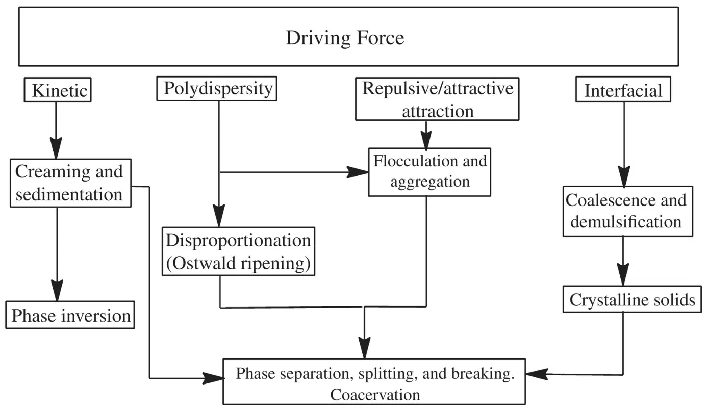 Flowchart 12 Critical factors to determine longterm product stability The - фото 5