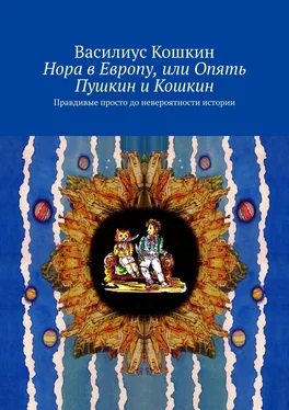 Василиус Кошкин Нора в Европу, или Опять Пушкин и Кошкин. Правдивые просто до невероятности истории обложка книги