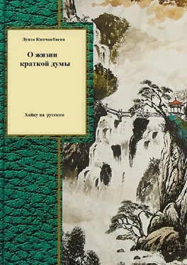 Луиза Кипчакбаева О жизни краткой думы обложка книги