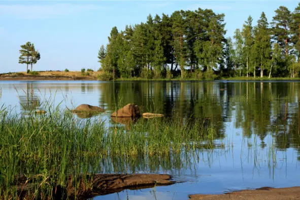 Нас догнала машина БМВ и стала ждать момента для обгона а я как назло - фото 59