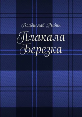 Владислав Рыбин Плакала березка обложка книги