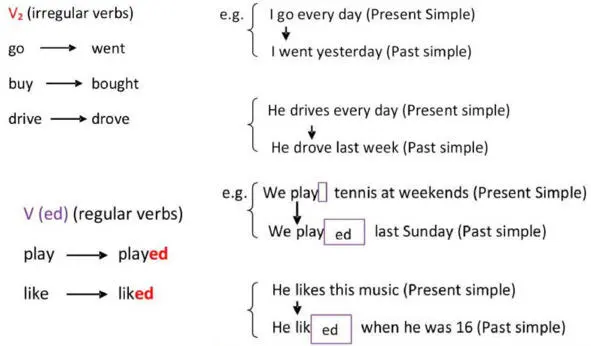 Did V 1 questions - фото 20