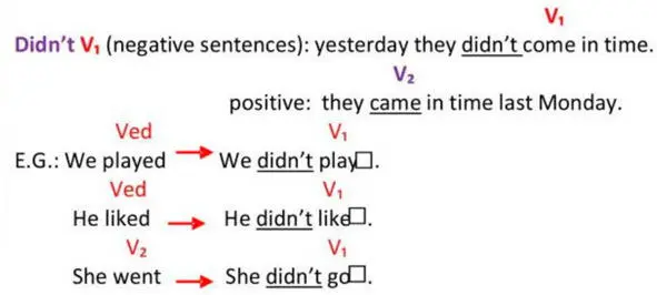 Did V 1 questions - фото 21