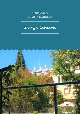 Владимир Арлюк-Шапиро Взгляд с балкона