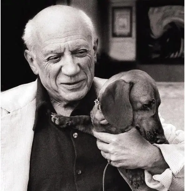 Пабло Пикассо и его любимая такса Ламп Фото обложка книги Picasso Lump A - фото 1