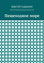 Виктор Кабакин - Пешеходное море