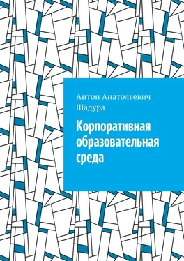 Антон Шадура Корпоративная образовательная среда обложка книги