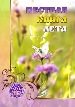Евгения Михайлова Пёстрая книга лета