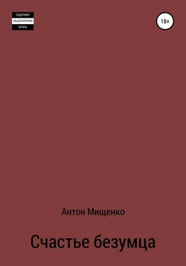 Антон Мищенко Счастье безумца обложка книги