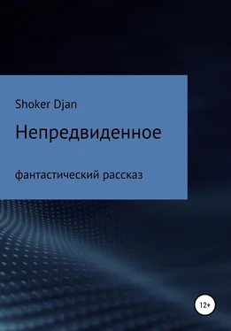 Shoker Djan Непредвиденное обложка книги