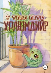 Вячеслав Рюхко - У тебя есть хрлюмдий?