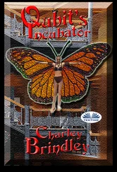 Charley Brindley - Qubit's Incubator