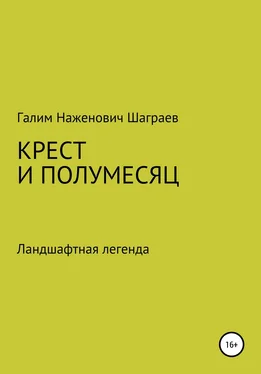 Галим Шаграев Крест и полумесяц Ландшафтная легенда обложка книги