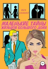Инга Снежная - Маленькие тайны жильцов большого дома