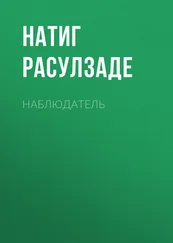 Натиг Расулзаде - Наблюдатель