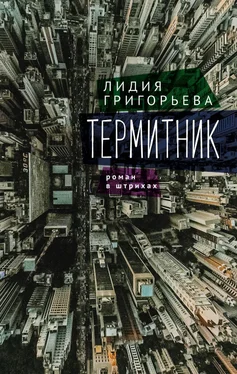 Лидия Григорьева Термитник – роман в штрихах обложка книги