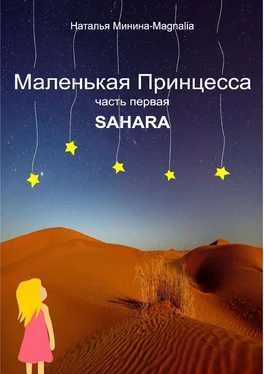 Наталья Минина Маленькая Принцесса. Часть I. Sahara обложка книги