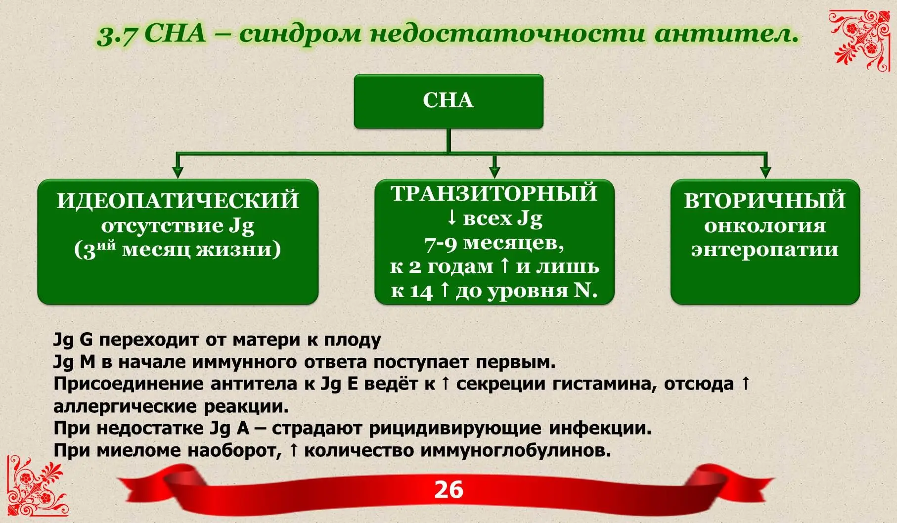 Jg A припятствует прикреплению антигенов к поверхности эпителиальных клеток и - фото 11