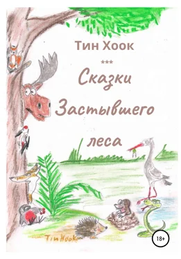 Тин Хоок Сказки Застывшего леса обложка книги