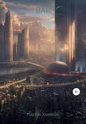 Платон Хомяков - ВАР