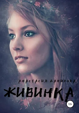 Анастасия Данилова Живинка обложка книги