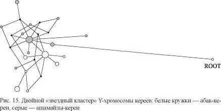 независимые данные генеалогии по которым абаккереи и ашамайлыкереи разошлись - фото 23