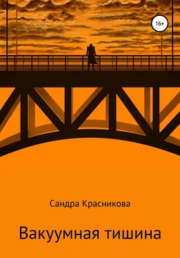 Сандра Красникова Вакуумная тишина обложка книги