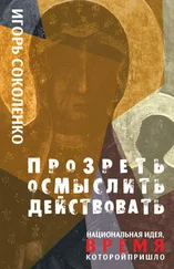 Игорь Соколенко - Прозреть. Осмыслить. Действовать! Национальная идея, время которой пришло