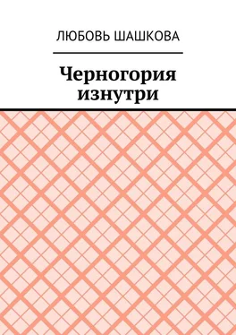 Любовь Шашкова Черногория изнутри обложка книги