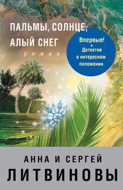 Анна и Сергей Литвиновы Пальмы, солнце, алый снег обложка книги