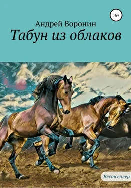 Андрей Воронин Табун из облаков обложка книги