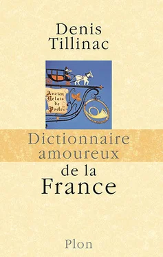 Denis Tillinac Dictionnaire amoureux de la France обложка книги