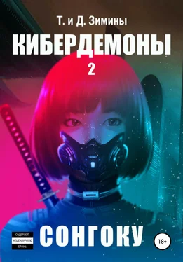 Татьяна и Дмитрий Зимины Кибердемоны 2. Сонгоку обложка книги