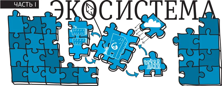 ЭКОСИСТЕМА система или группа связанных между собой элементов образовавшаяся - фото 6