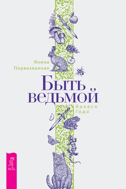 Янина Первозванная Быть ведьмой: Колесо Года обложка книги