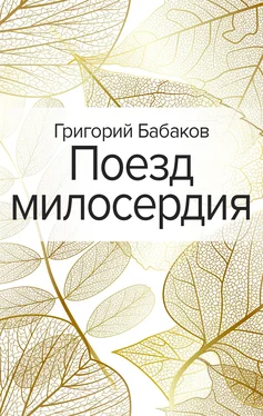 Григорий Бабаков Поезд милосердия обложка книги