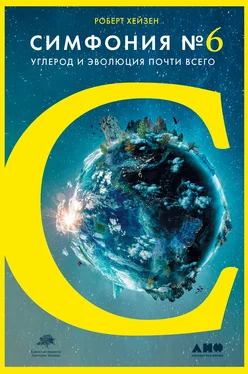 Роберт Хейзен Симфония № 6. Углерод и эволюция почти всего обложка книги