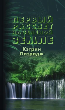 Кэтрин Патридж Первый рассвет на Зеленой Земле обложка книги