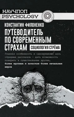 Константин Филоненко Путеводитель по современным страхам. Социология стрёма обложка книги