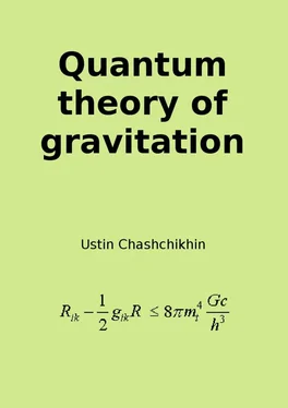 Ustin Chashchikhin Quantum theory of gravitation обложка книги