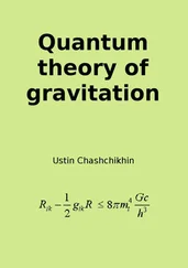 Ustin Chashchikhin - Quantum theory of gravitation