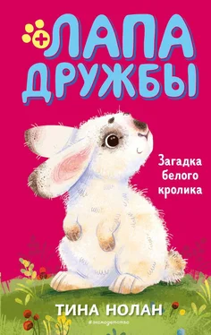 Тина Нолан Загадка белого кролика обложка книги