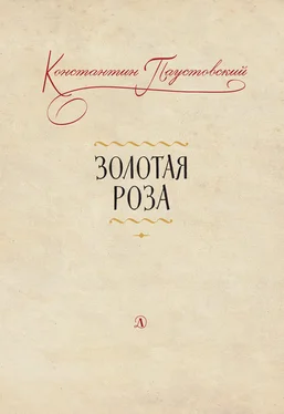 Константин Паустовский Золотая роза. Заметки о писательском труде обложка книги