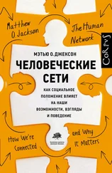 Мэтью О. Джексон - Человеческие сети. Как социальное положение влияет на наши возможности, взгляды и поведение