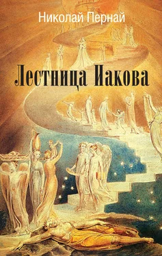 Николай Пернай Лестница Иакова обложка книги