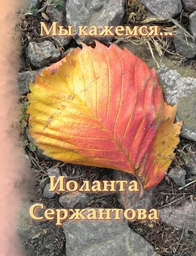 Иоланта Сержантова Мы кажемся… обложка книги