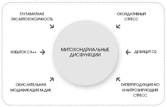 На самом деле у детей болит клетка а не мозг печень селезенка или щитовидка - фото 1