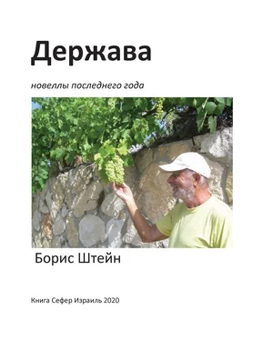 Борис Штейн Держава. Новеллы последнего года обложка книги