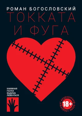 Роман Богословский Токката и фуга обложка книги